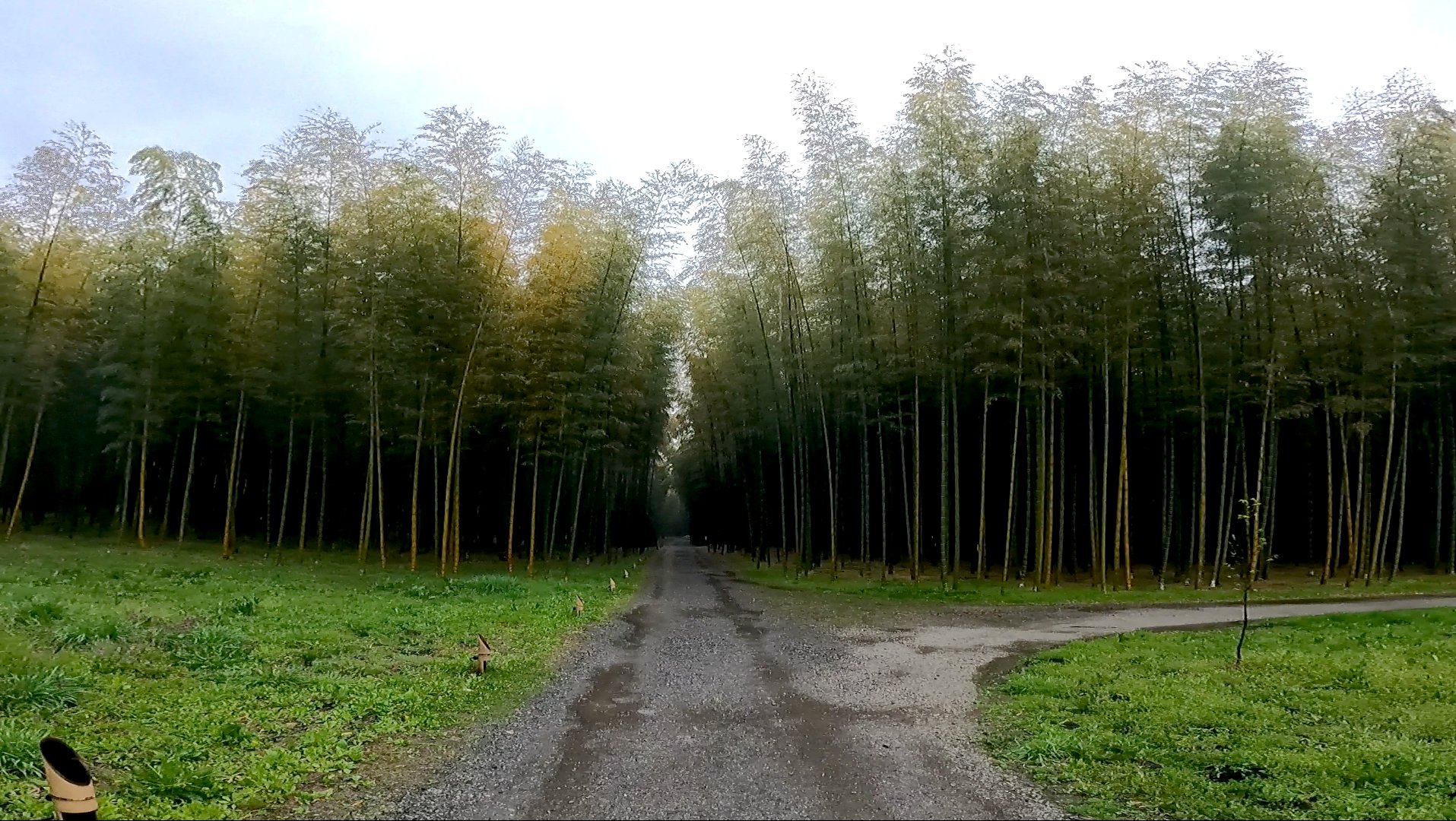 若竹の杜 若山農場 (わかたけのもり わかやまのうじょう）