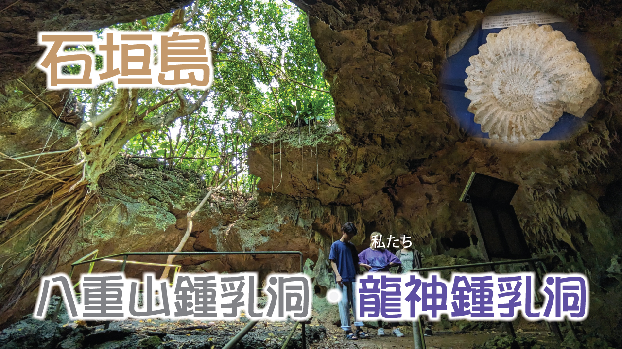 八重山鍾乳洞・龍神鍾乳洞