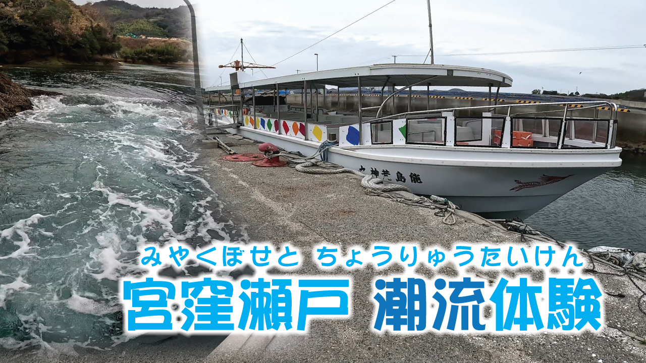 宮窪瀬戸 潮流体験