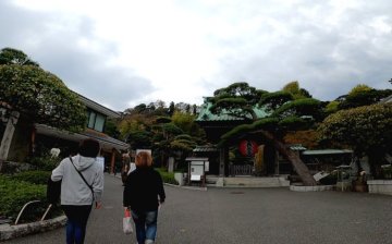 長谷寺