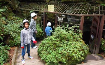 西湖コウモリ穴